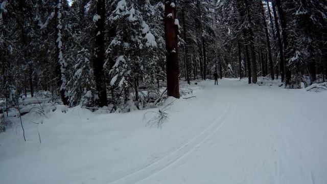 30.12.2020 г. ГАБО. Тренировка, классический стиль. смотреть онлайн