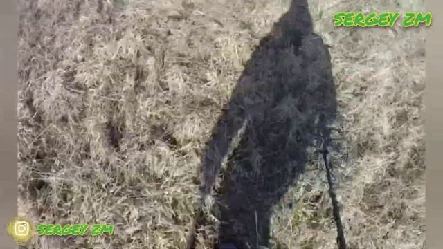 Коп металлолома с Фортуна М3 в поле возле речки смотреть онлайн