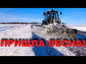 Машины тонут, скоблю мокрый снег.