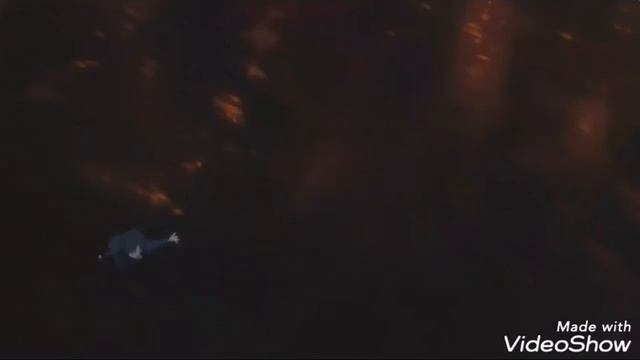 //AMV//Тёмный дворецкий смотреть онлайн