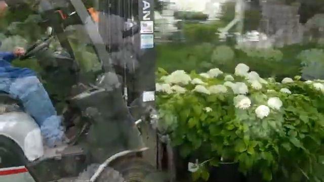 9 27 11 Willoway Docks.mp4 смотреть онлайн