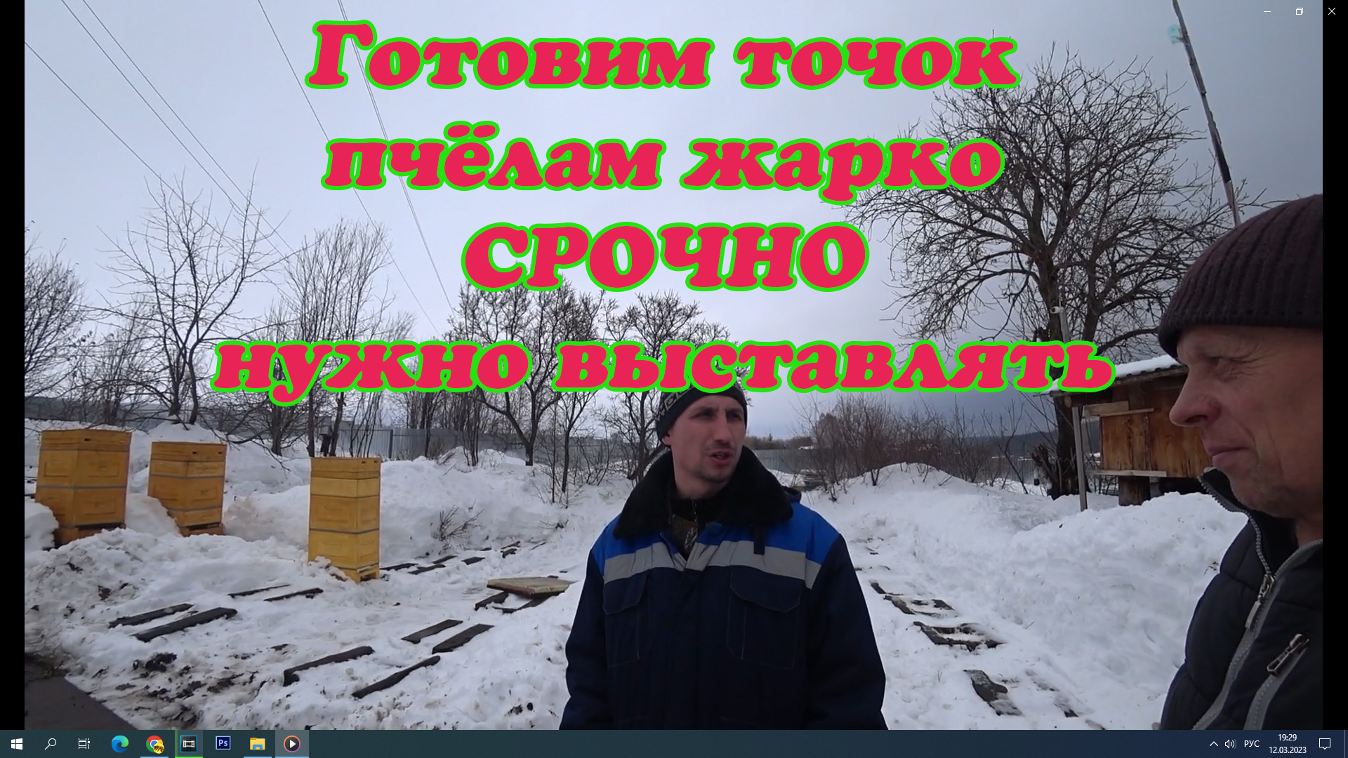 ПЧЁЛЫ ПОНОСЯТ И ВЫЛЕТАЮТ, ГОТОВИМСЯ К РАННЕЙ ВЫСТАВКЕ ПЧЕЛОСЕМЕЙ ИЗ ЗИМОВНИКА смотреть онлайн