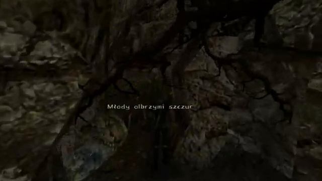 Zagrajmy w Gothic II NK #3 Szczury i Lester смотреть онлайн