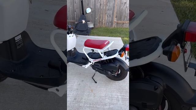 Honda Ruckus / Zoomer смотреть онлайн