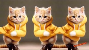 Vorontsov D -  I Show U Love & Best Shuffle Dance