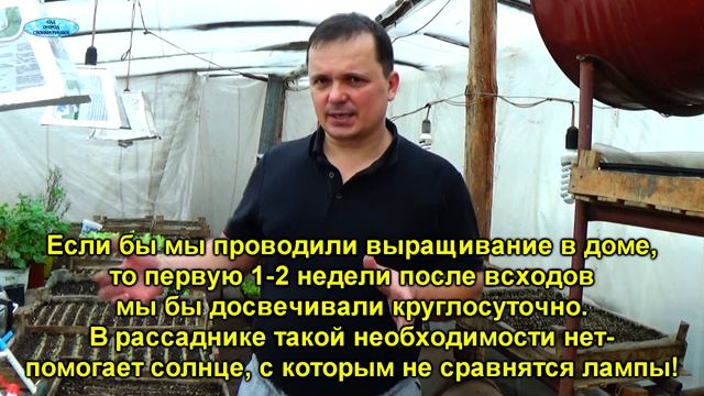 ПЕРВЫЕ МАССОВЫЕ ВСХОДЫ ПЕТУНИИ- НА ЭТО СТОИТ ПОСМОТРЕТЬ!!! смотреть онлайн
