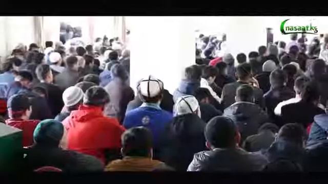 Абдышукур ажы нарматов телефон смотреть онлайн