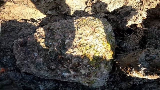 Реечный домкрат Hi-jack!!!Тест покупки для металлокопа!!!