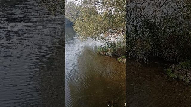 Релакс на реке