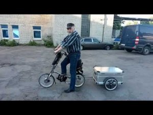 Прицеп для велосипеда Стрида SX
