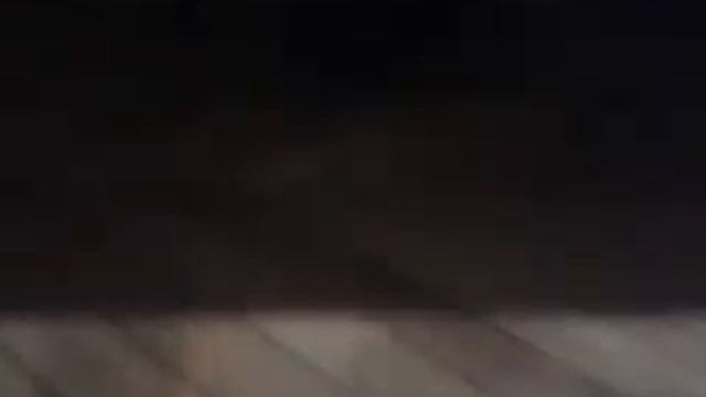 Паук украл тапок смотреть онлайн