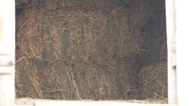 Центр Занятости смотреть онлайн