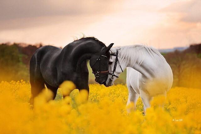 ВСЁ ЛИШНЕЕ.mp4
