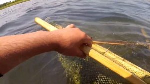 Рыбалка на креветку в Амурском заливе. Ловля креветки самодельным сочком!