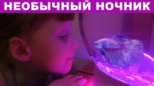 Как из обычного аквариума сделать красивый светильник для ребенка.