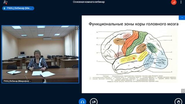 Мелкая моторика или влияние действий рук на развитие головного мозга детей смотреть онлайн