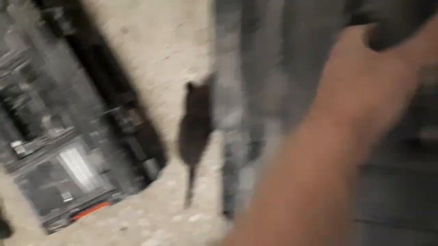 Привез барахло на базу смотреть онлайн