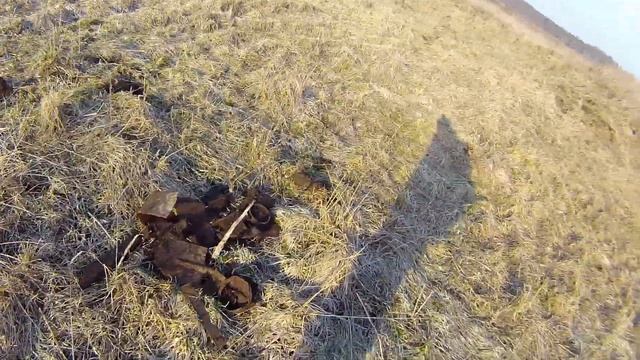 Отличный коп,классный результат смотреть онлайн