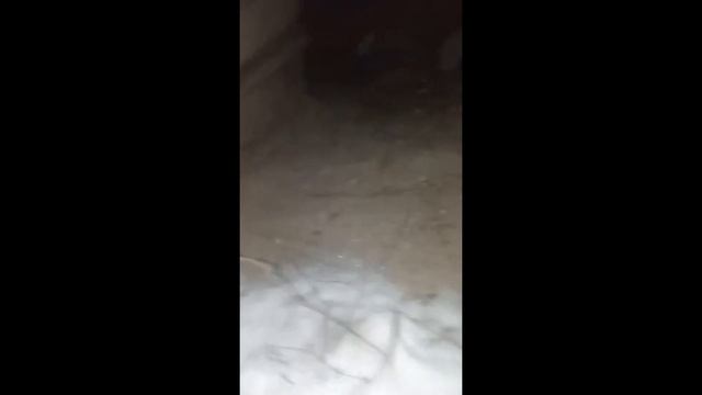 13 14 декабря Спасаю кошек на дачах смотреть онлайн