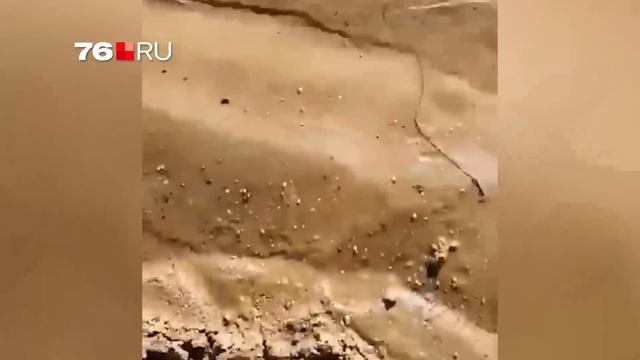 Черви паразиты в Волге смотреть онлайн