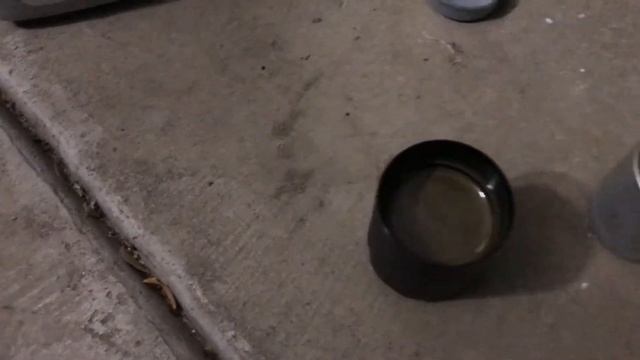 Catch Can Oil Separator Maintenance | Ford Focus ST смотреть онлайн