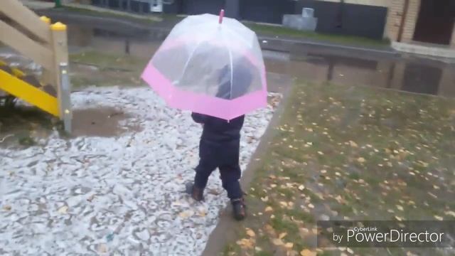 Прогулка первый раз с зонтиком ))) For A Walk For The First Time With An Umbrella )))