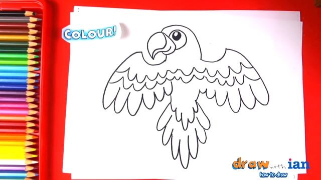 How to Draw a Bird - How to Draw a Scarlet Macaw смотреть онлайн
