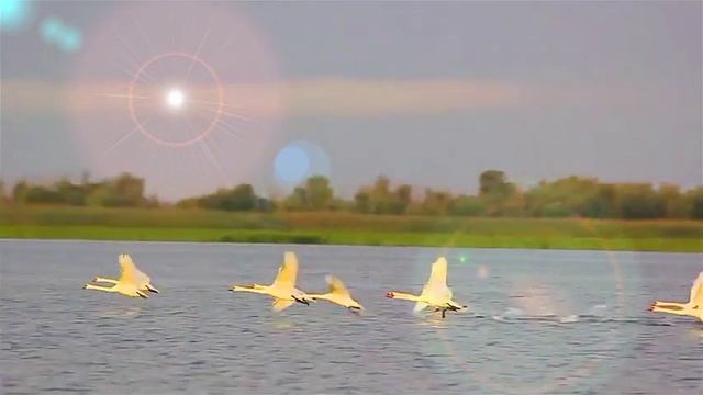 Как по горкам, по горам, белый лебедь летал смотреть онлайн