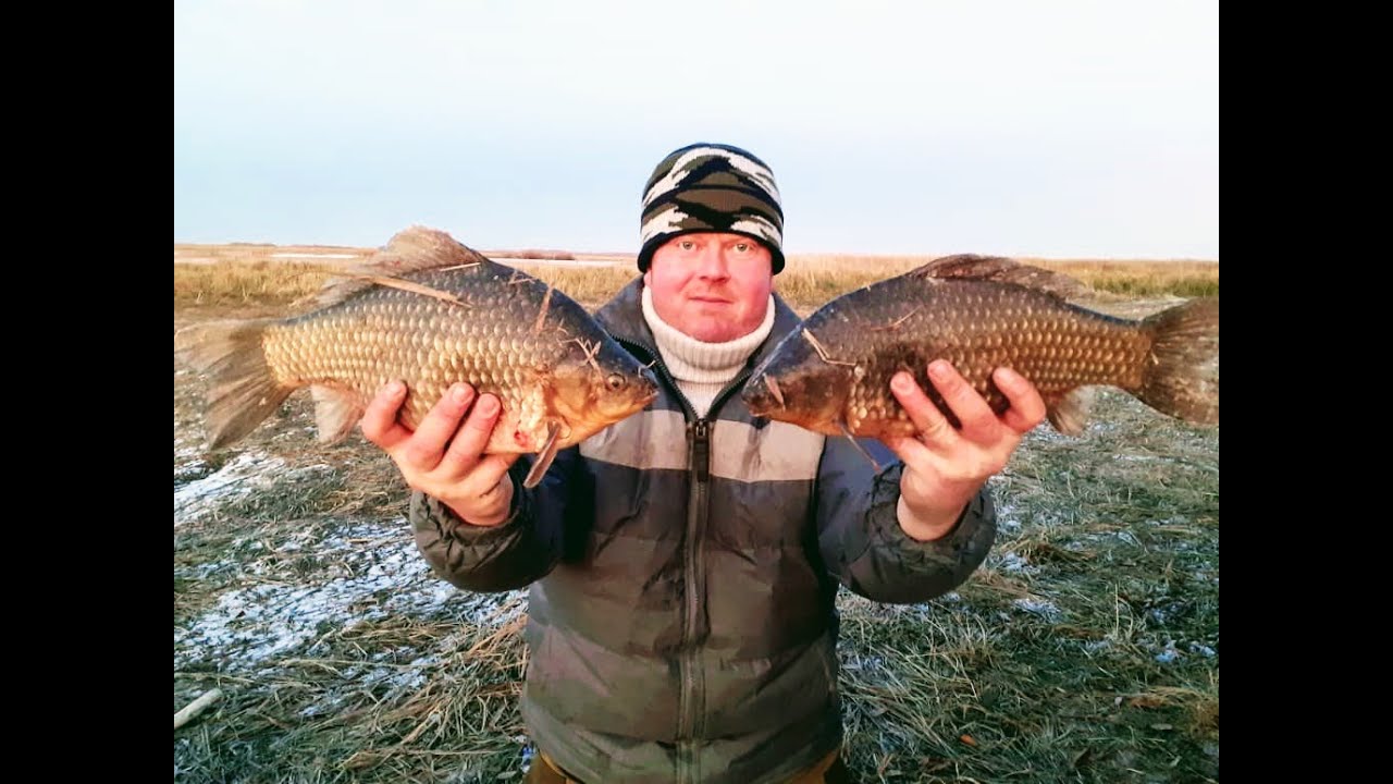 Карась на паук!!! Рыбалка на паук!!!Рыбалка на карася!!!
