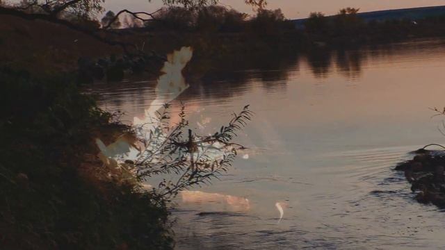 Рыбалка на реке Сура. Фидер осенью смотреть онлайн