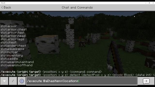 Minecraft Bedrock Edition Command Block Tutorial (Has Item)
