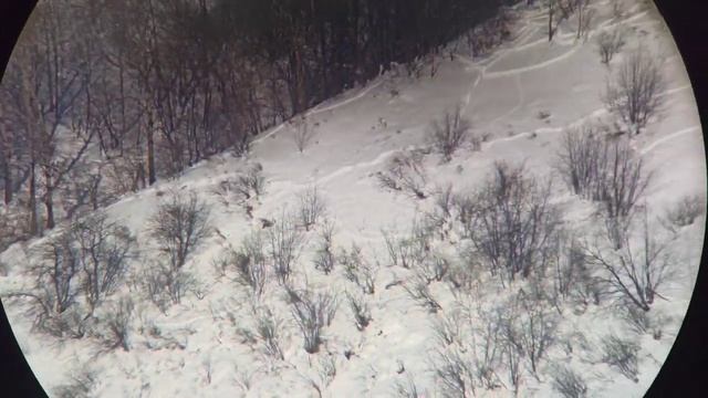 Бинокль Canon 18*50 стабилизация (без звука)