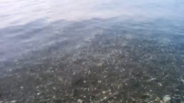 Пицунда сосны море смотреть онлайн