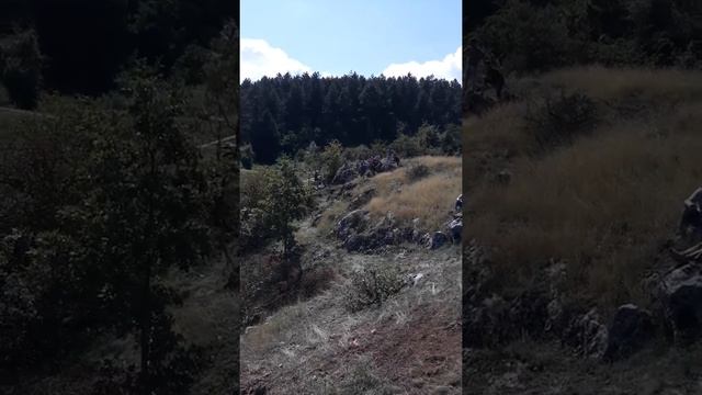 Hard Enduro Svrljig - Start Trke - Suzuki DRZ400 смотреть онлайн