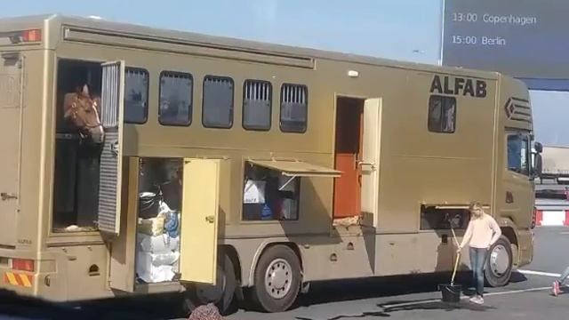 Лошадки -туристы. Германия, порт Росток/ Deutschland Rostock смотреть онлайн