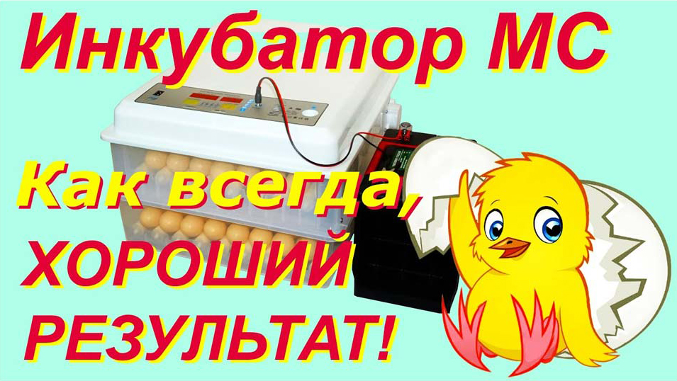 Выведение цыплят в инкубаторе МС-120. Эксперимент! ИНКУБАЦИЯ ПРИ НИЗКОЙ НАРУЖНОЙ.mp4 смотреть онлайн