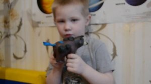 Космический зоопарк 1