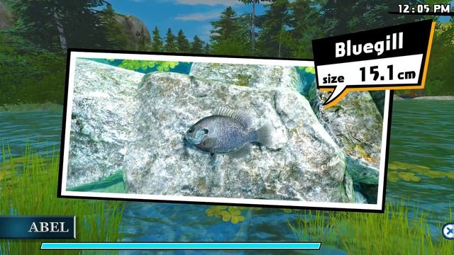 Reel Fishing Road Trip Adventure - Part 10? смотреть онлайн