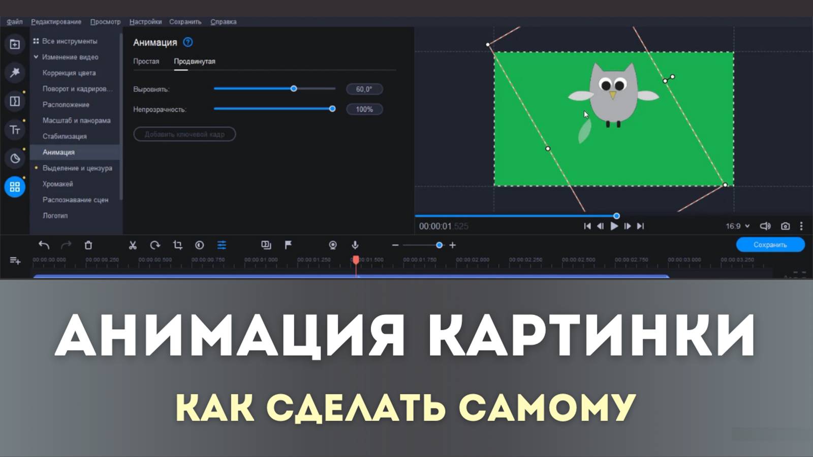 Анимация картинки 