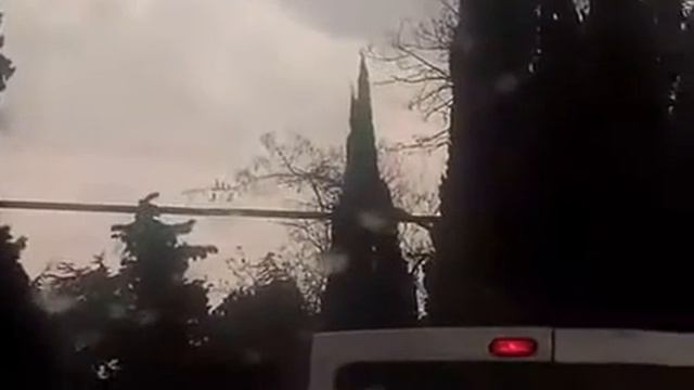 Сбежавшая обезьяна с зоопарка гостиницы Интурист. Ялта. 25 февраля 2017 г. смотреть онлайн