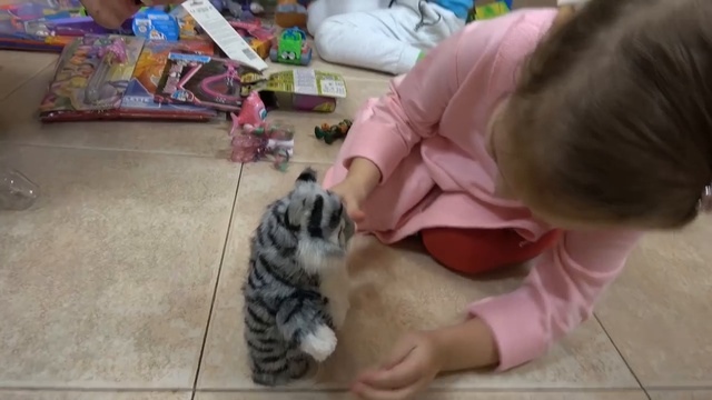 Выгребли ВСЕ новые игрушки из кладовки Катя и Макс нашли прикольные Кошечку и Ди смотреть онлайн