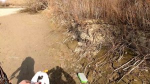 ЛОВЛЯ ЖЕРЕХА на СПИННИНГ !Весенний ЖЕРЕХ ! 2022 год МАРТ!