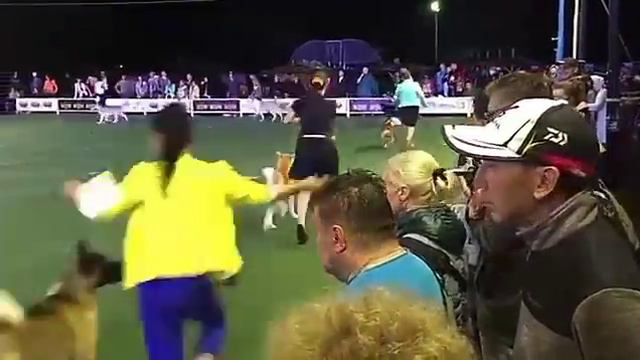 Караганды Алабай Царина на Azia Winner-2016! смотреть онлайн