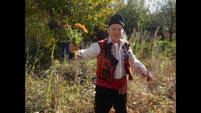 15 Иван Стойчев Сън сънувах мале смотреть онлайн