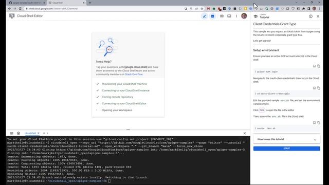 Implement the OAuth 2.0 client credentials grant type flow in Apigee смотреть онлайн