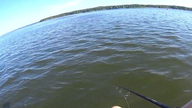 Ловля окуня в жару на Вилейском водохранилище. смотреть онлайн