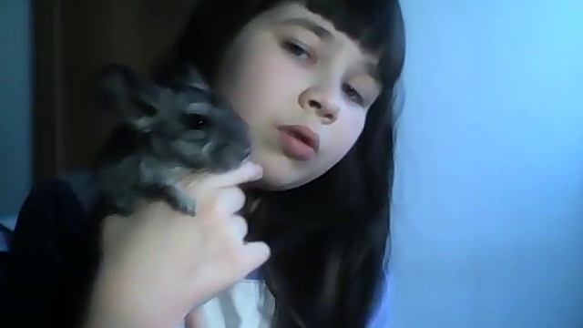 У меня новое животное???? смотреть онлайн