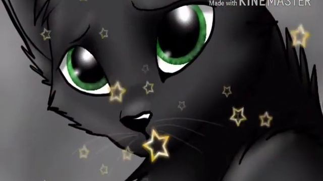 Коты воители - между нами тает лёд смотреть онлайн