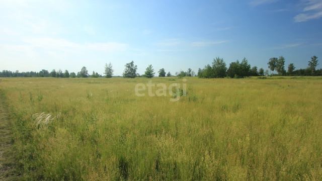 10341305 смотреть онлайн