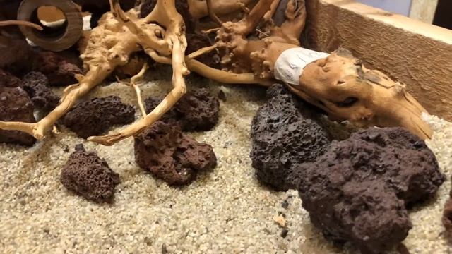 Коряги для аквариума ( корни азалии ) смотреть онлайн